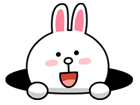 brown_and_cony-50